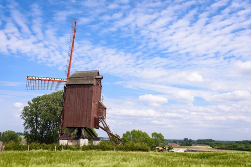 TIELT