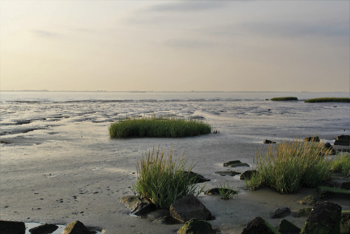 Terneuzen