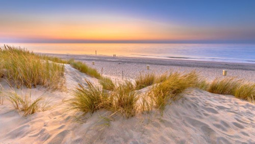 Renesse