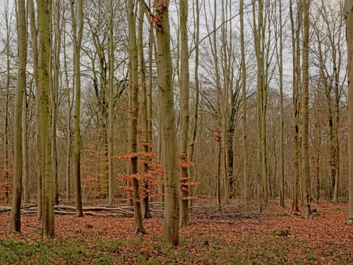 EEKLO