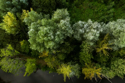 Parc forestier de Lokeren