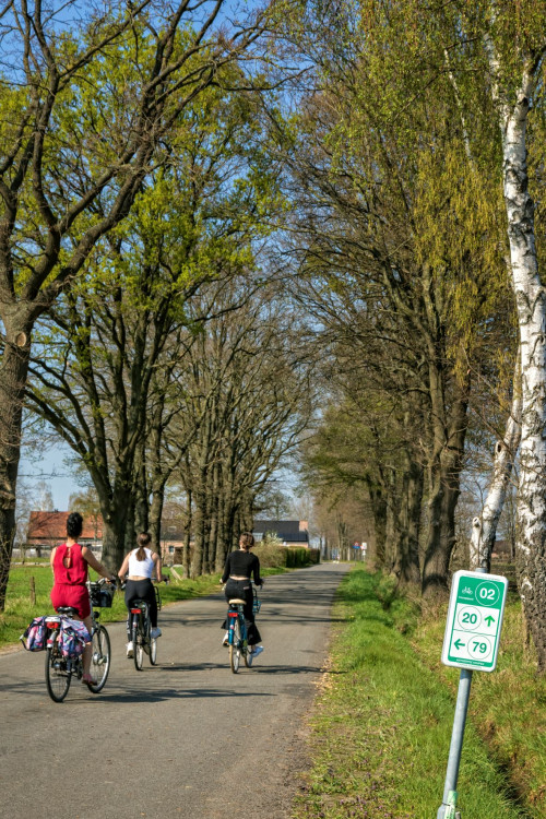 Piste cyclable Sint-Dimpna