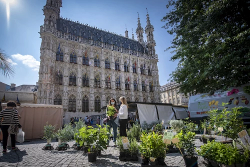 Grote Markt Louvain