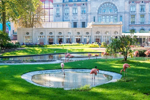 Le ZOO d'Anvers