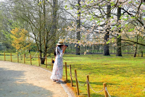 Jardin japonais Hasselt