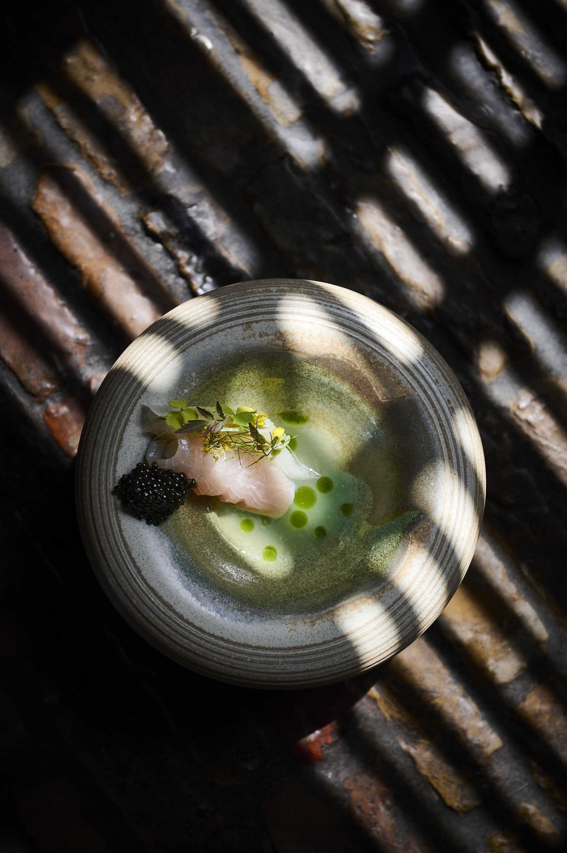 Hamachi met koolrabi, sparrentoppen, venkel & Meyercitroen