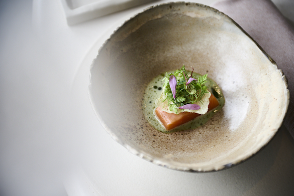 Forel in 't groen