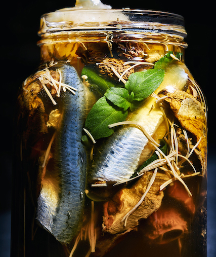Ceviche met sardien, kombucha en wilde paddenstoelen