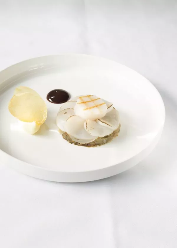 Tarte tatin van Bretoense sint-jakobsvrucht en gekarameliseerd grondwitloof