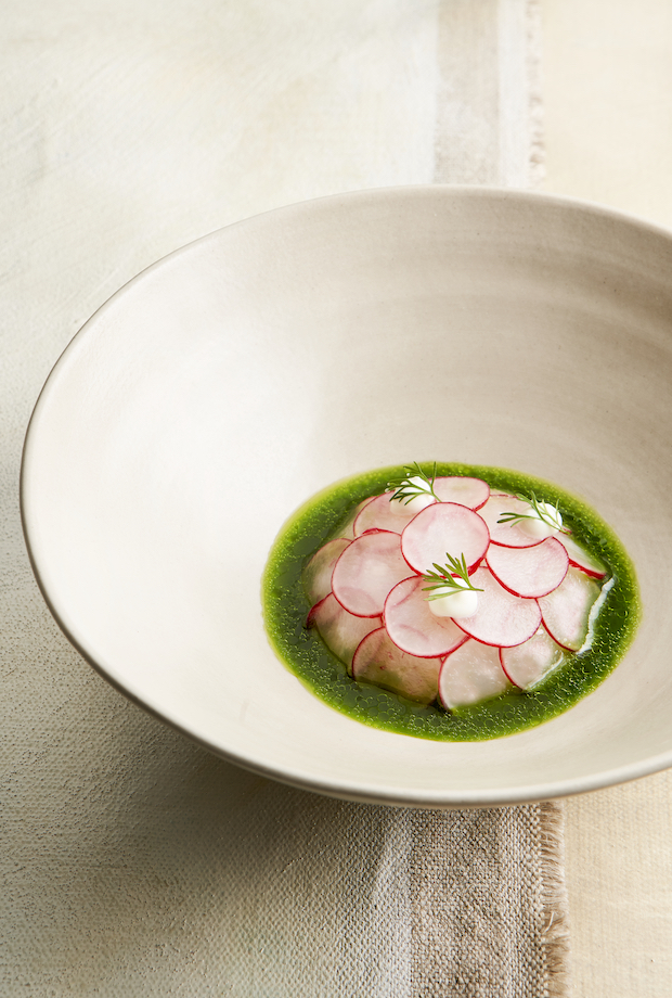 Gebrande tartaar van zeeduivel met gemarineerde radijs, gazpacho van komkommer en snijbonen & hangop van geitenyoghurt