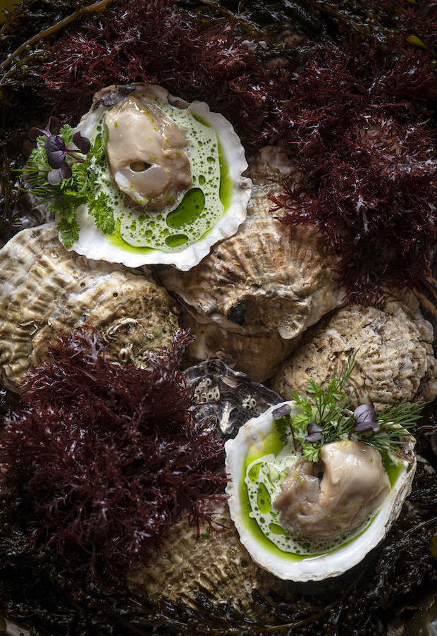 Imperial oester met venkel, algen & kruiden