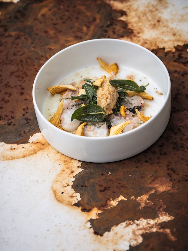Zeebaars en sorbet van girolles