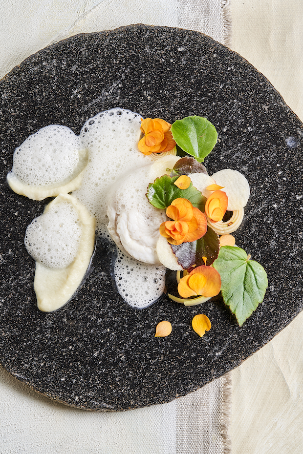 Tongschar, appel en begonia