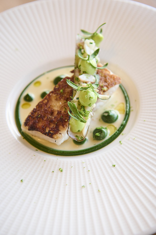 Zeebaars met crème van spinazie, jus van schelpen, gevulde scheermessen en kaffir limoen.