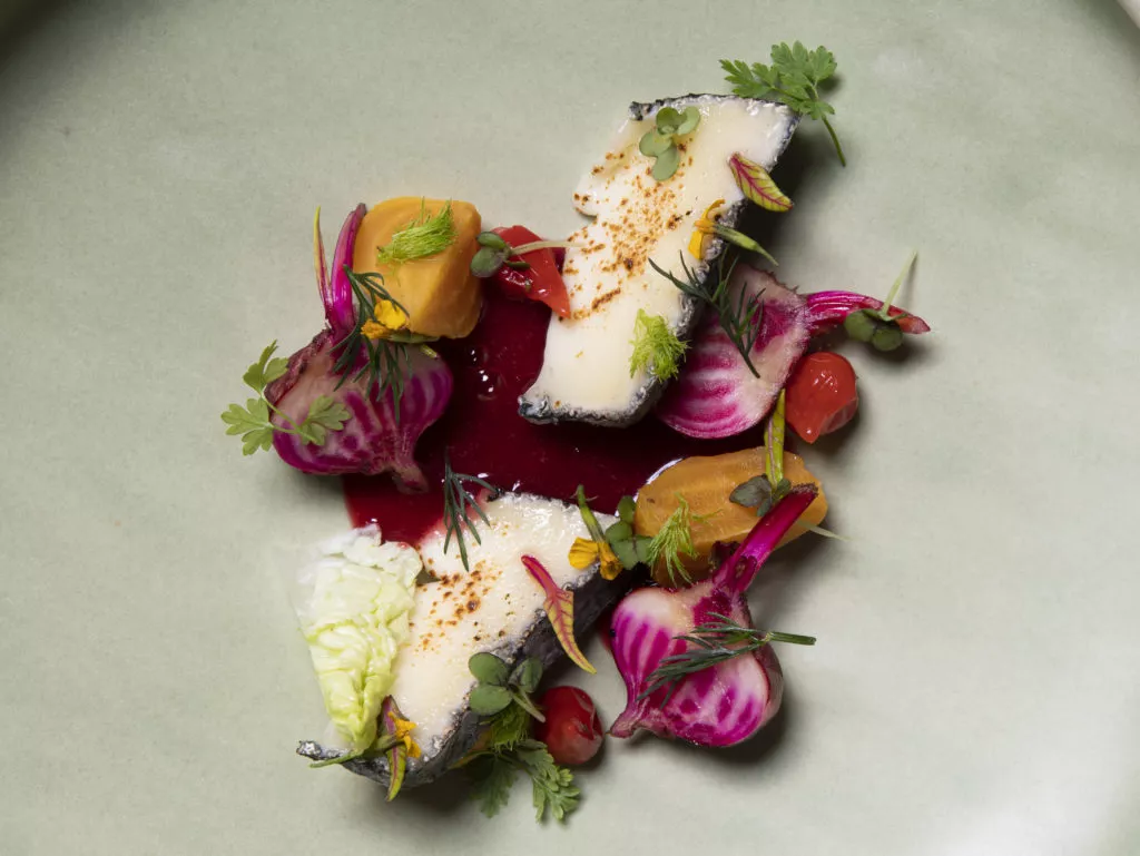 Chioggiabiet in combinatie met geitenkaas met vulpeper en coulis van biet