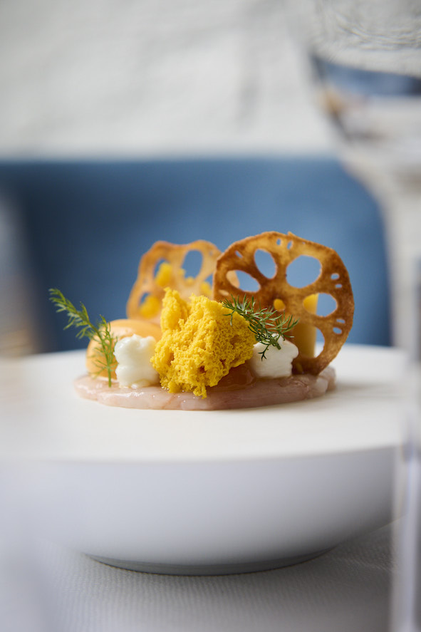 Langoustines met structuren van wortel