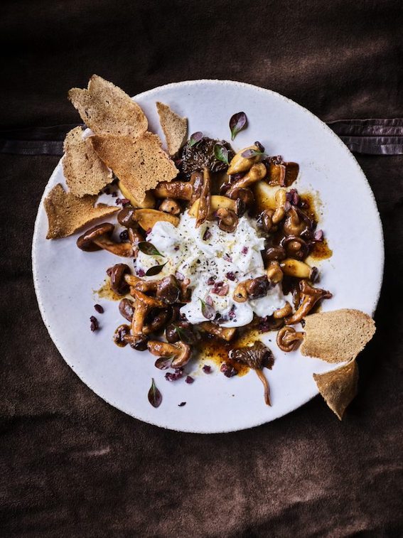 Burrata met zoetzoute paddenstoelen & roggetoast