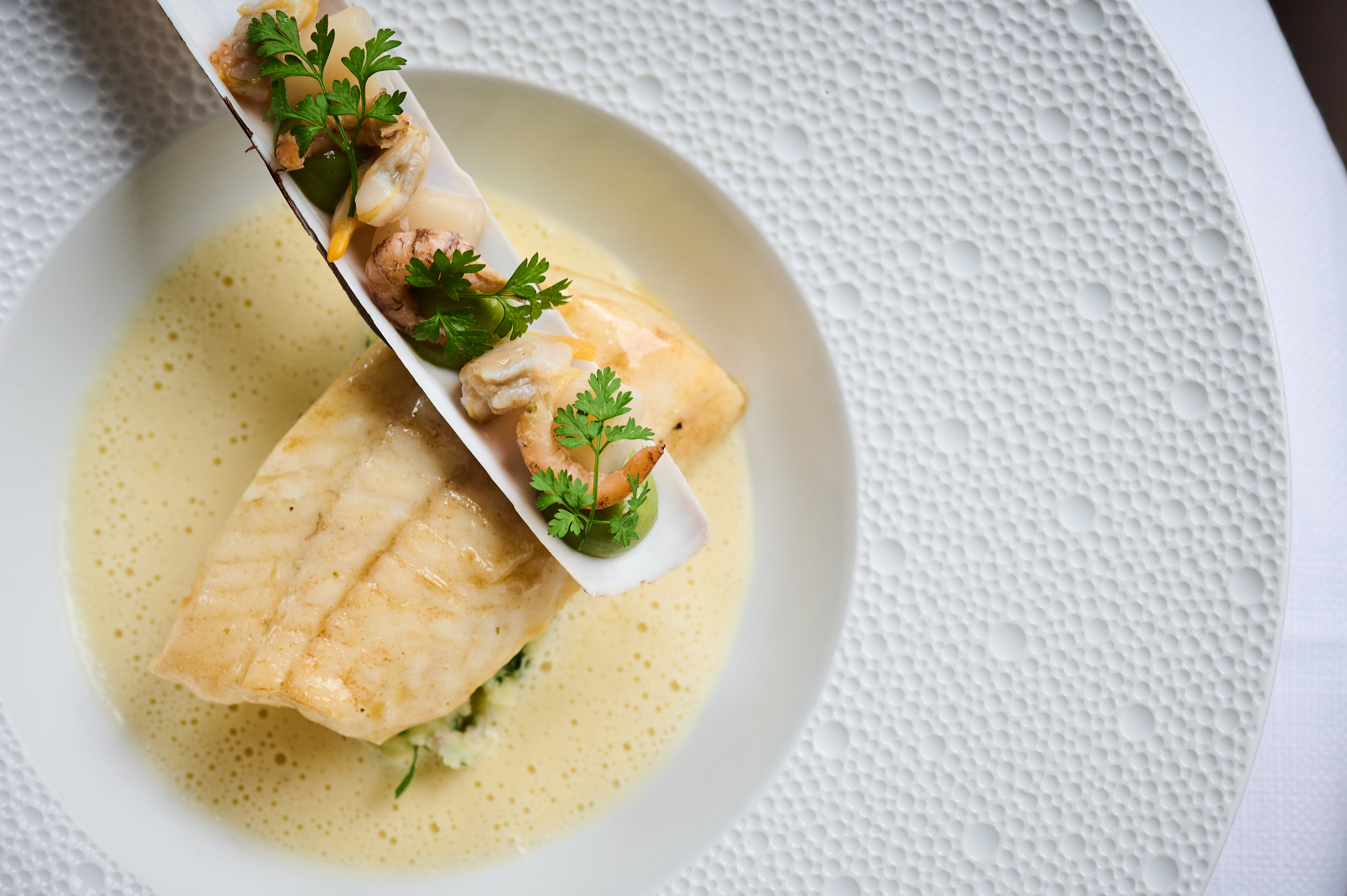 Tarbot met puree, scheermessen & handgepelde garnalen