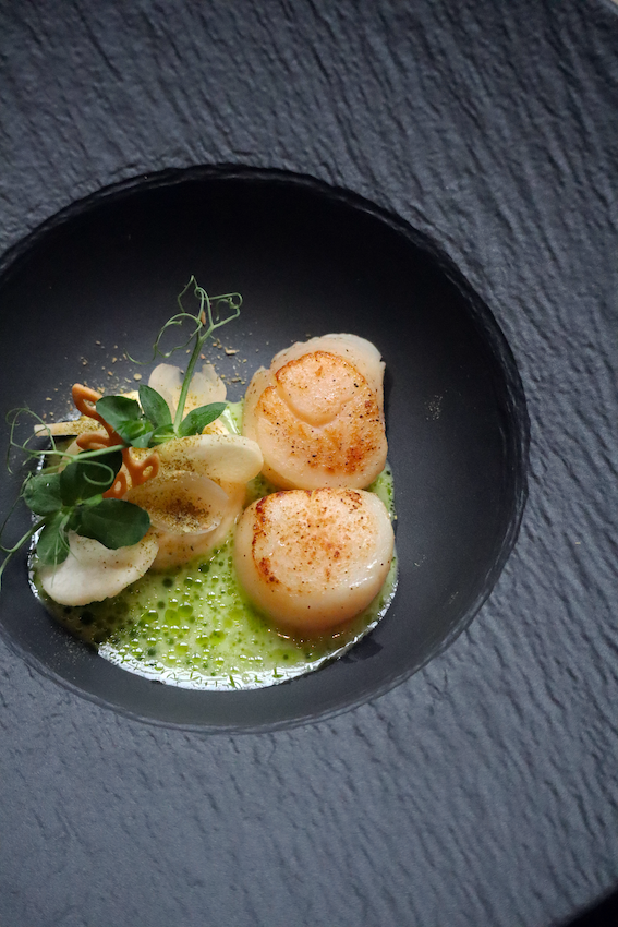 Coquilles met structuren van peterselie