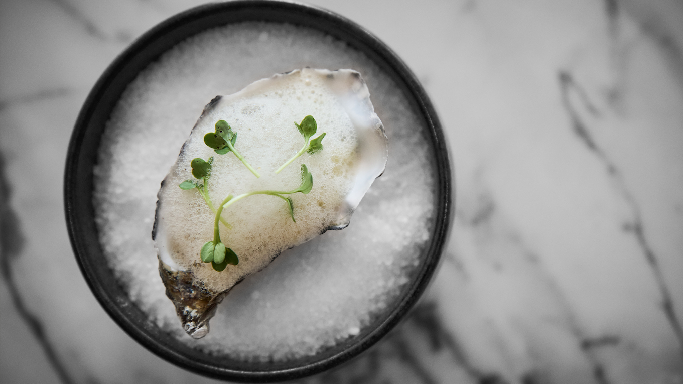 Oester met schuim van kakejiru en daikon