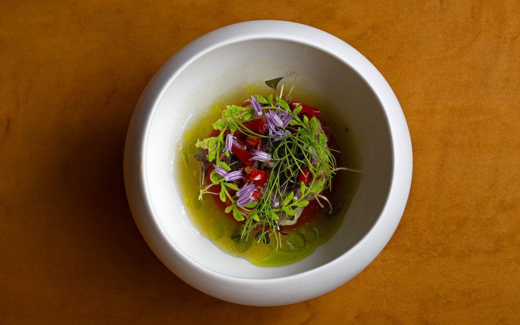 Gazpacho van geblakerde komkommer, zoete ui en paprika, gebrande makreel & mayonaise van basilicum