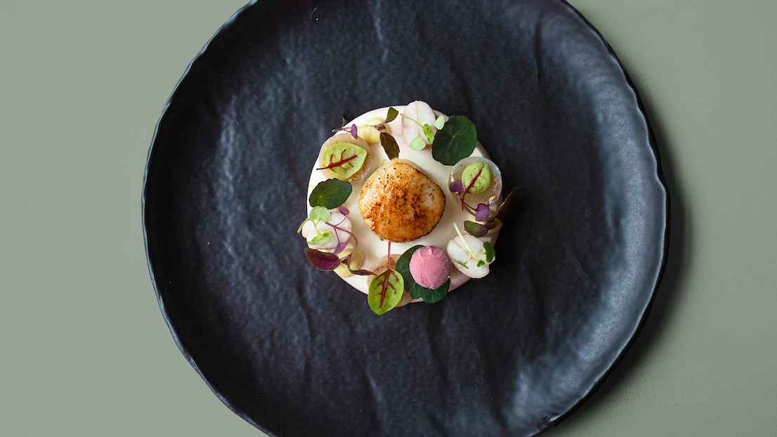 Gemarineerde zeebaars met panna cotta van gerookte paling en gebakken coquilles