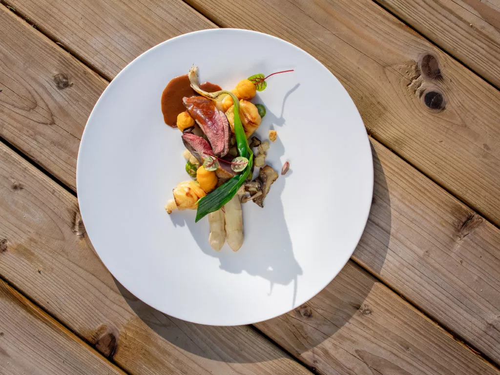 Duif met knolselder, oesterzwam, asperges, hazelnootsaus en wortelzalfje