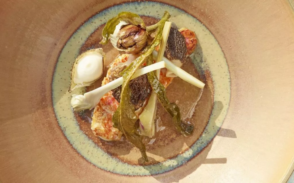 Gebakken zeebarbeel met artisjok en morilles