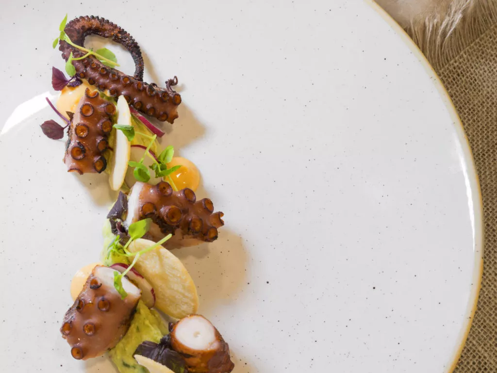 Gegrilde octopus met avocado, waterkers en radijs