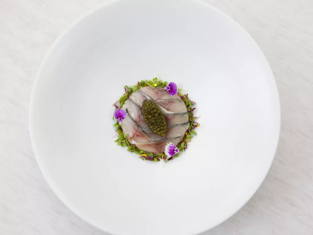Makreel met kruidenolie, eiersalade, chips van brickdeeg en kruidensalade