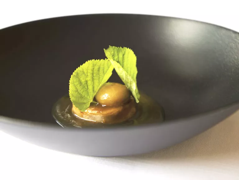 Consommé van kalfsvlees, knolselder en jonge lindebar