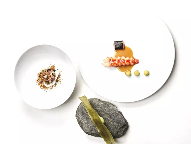 Kreeft, komkommer, algen, avocado en gember