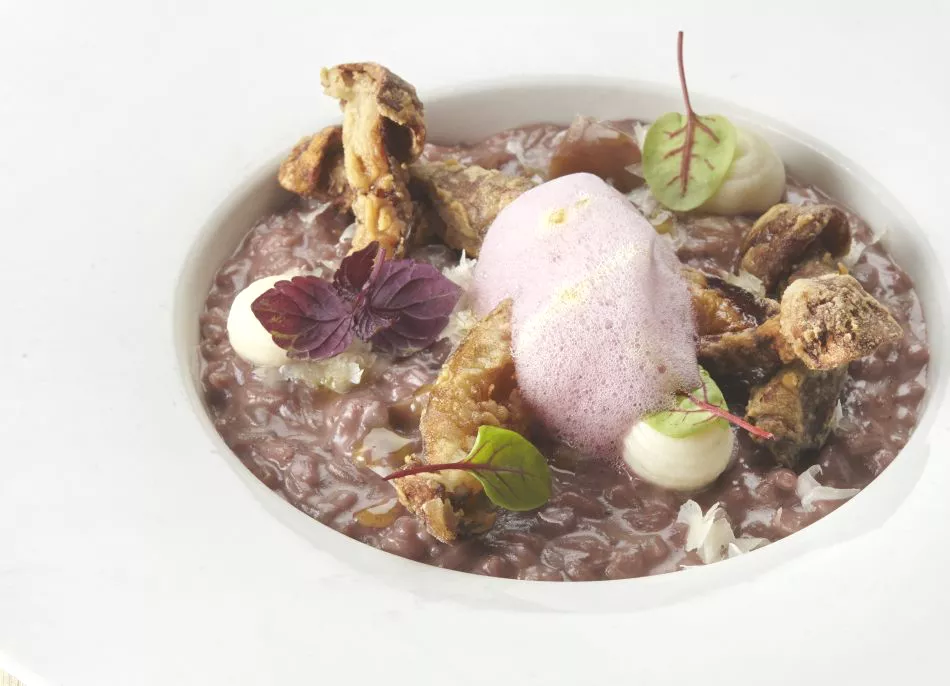 Risotto met amarone, porcini en robiolakaas