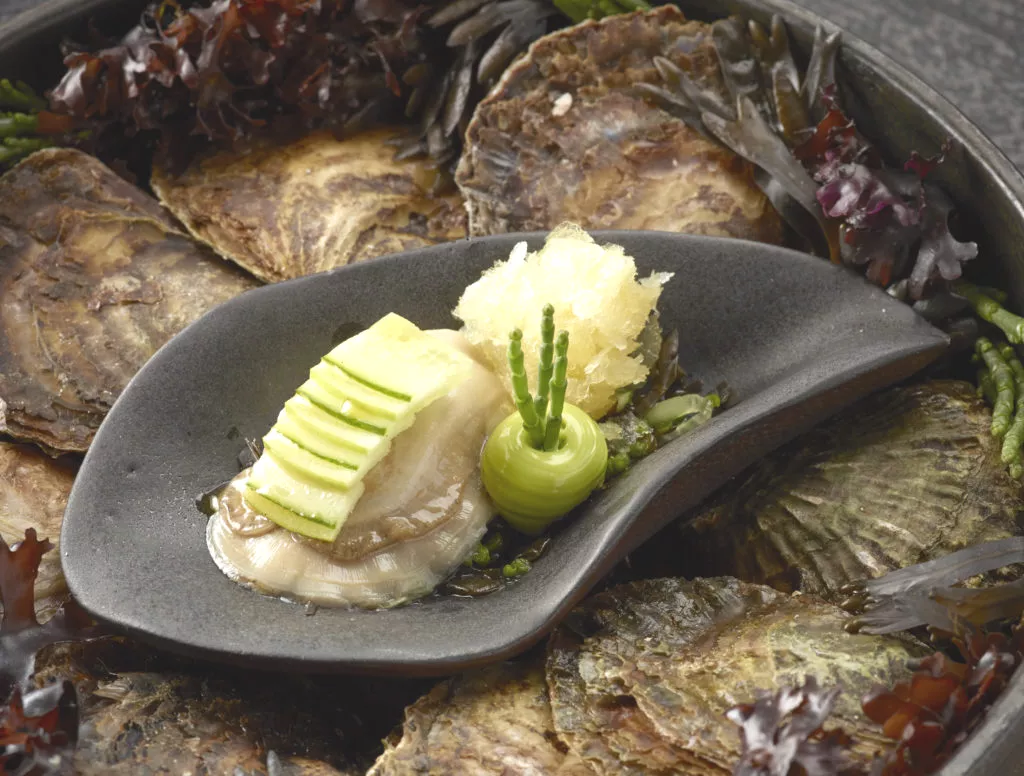 Zeeuwse oester met frozen Hierbas de las Dunas magarita
