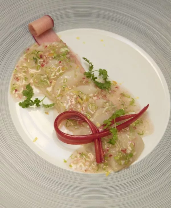 Rauwe coquilles met rabarber