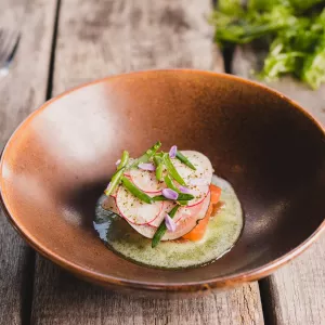 Gepekelde zalm met nori, eikenwier, radijs en rammenas