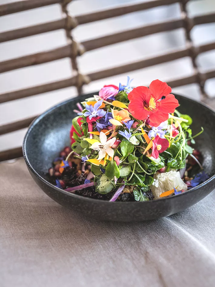 Kruidensalade met gekonfijte eend
