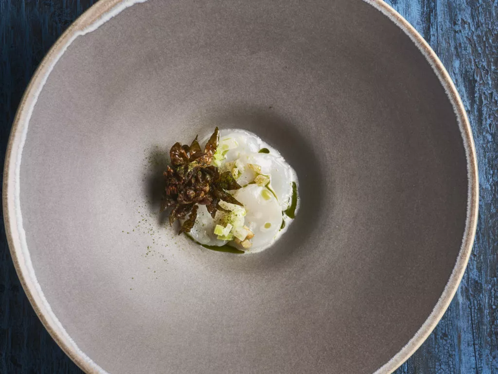 Gemarineerde coquille met jus van selder en kardoen en gefrituurde spruit