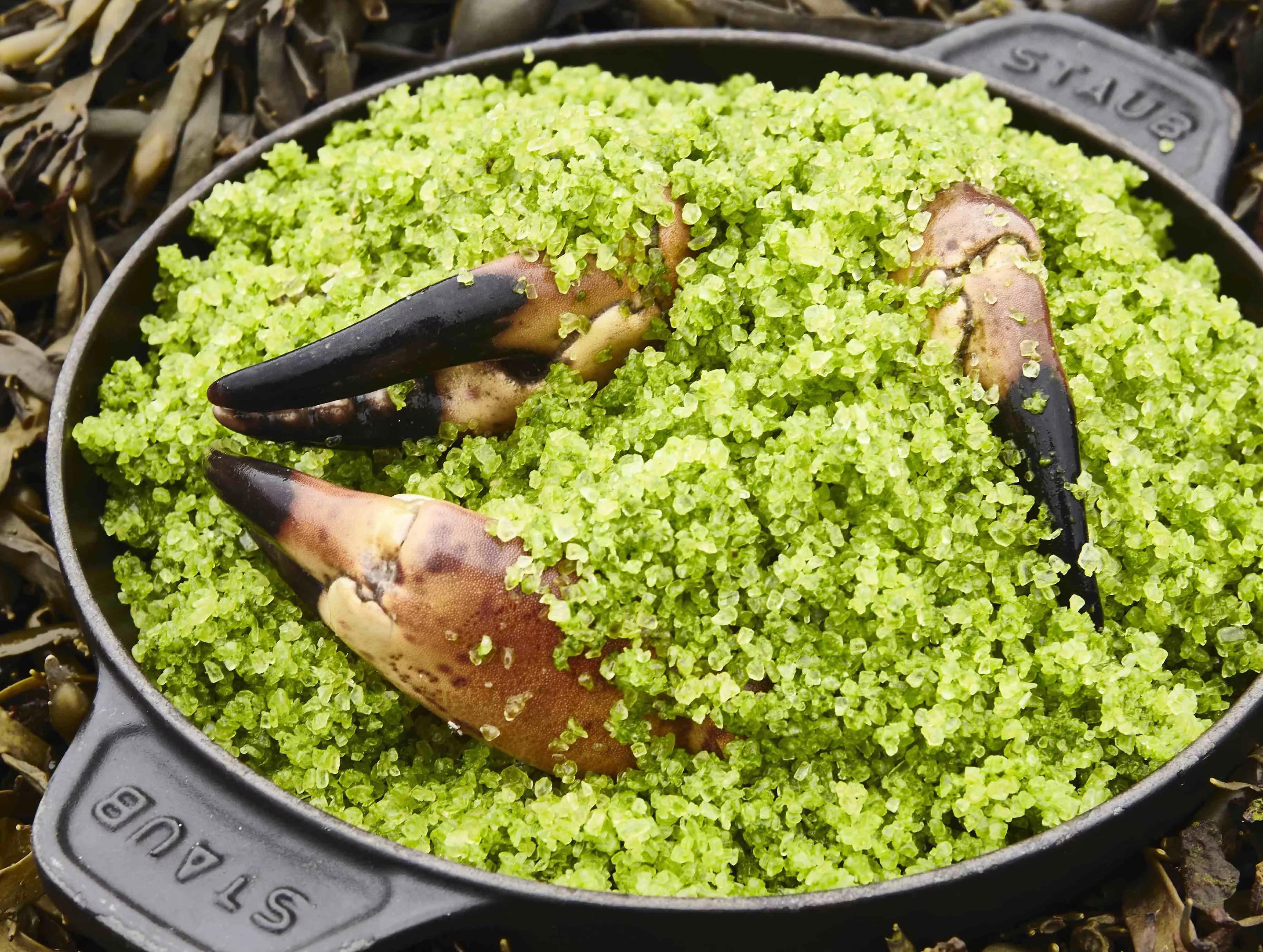 Krabbenpoten met zeezout en groen zeewier