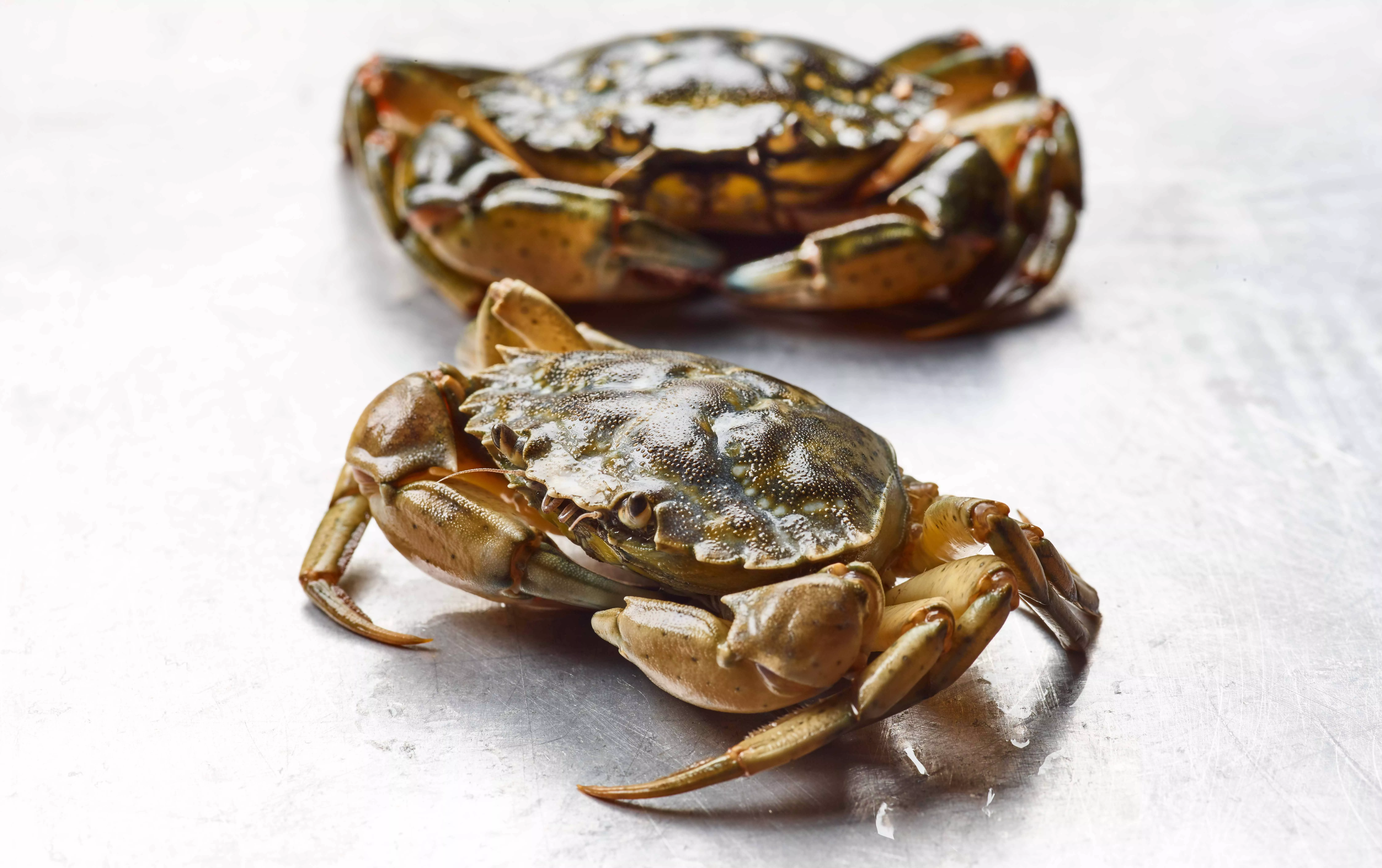 Gekookte strandkrab met witte asperge, aardappel en lavas