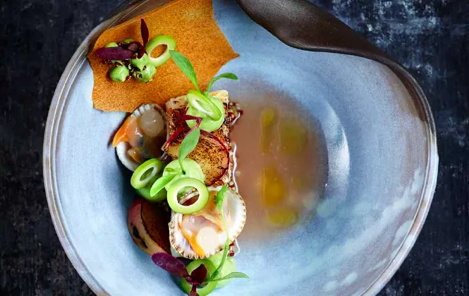 Red bream ‘Peru’: roodbaars, rode quinoa en Peruviaanse avocadocrème