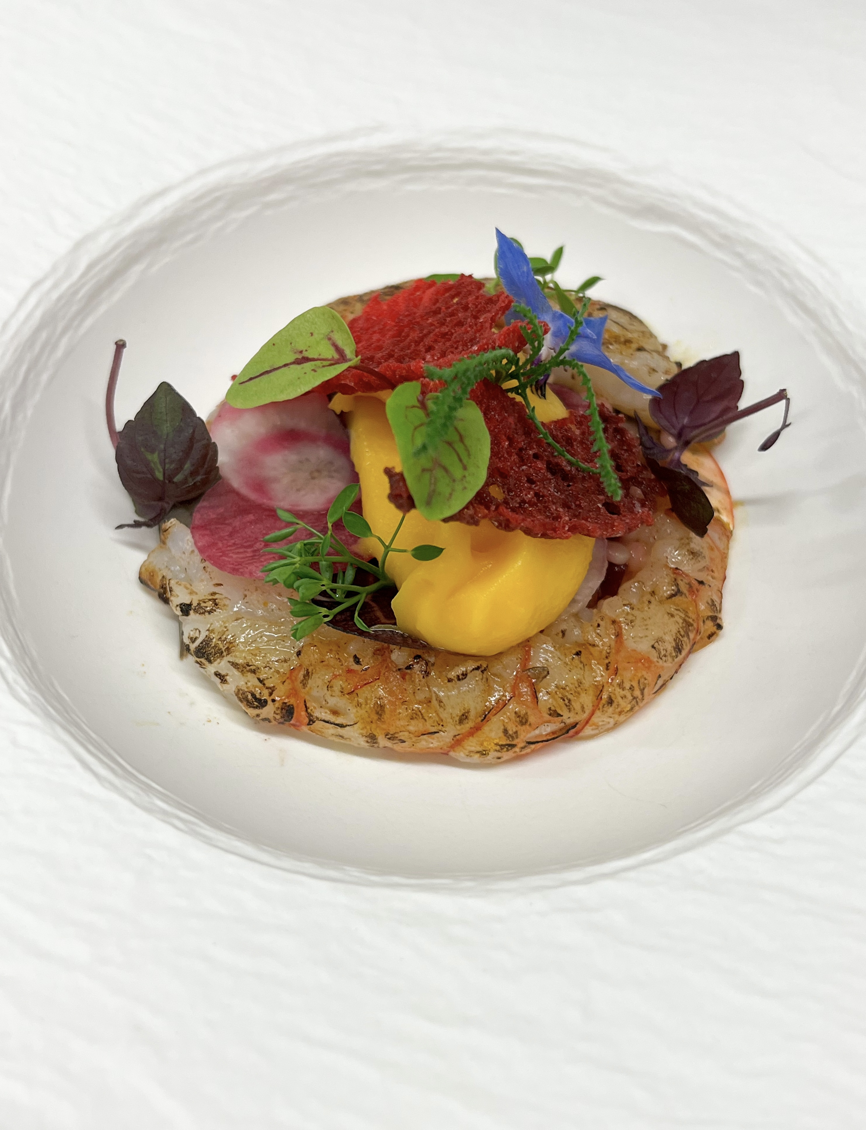 Nobashi garnaal met rode biet, parelcouscous en butternut