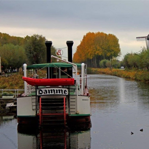 Lamme Goedzaak Damme Boot