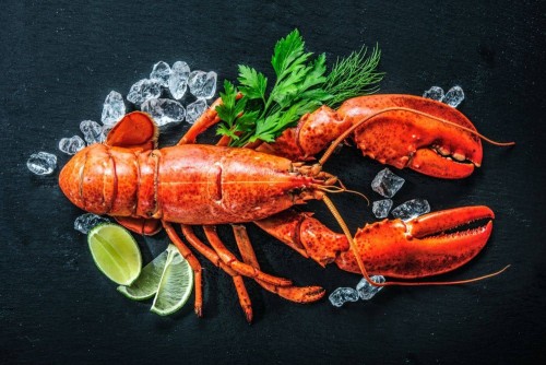 Reserveren bij Restaurant Lef te Destelbergen