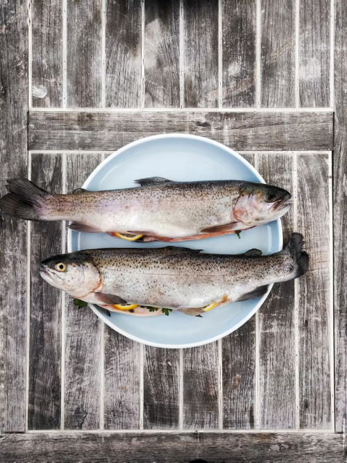 Reserveren bij Restaurant Lef te Destelbergen