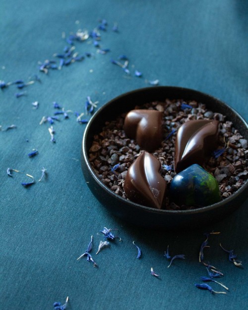 The Cacao Project