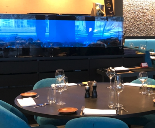 Resto Victory