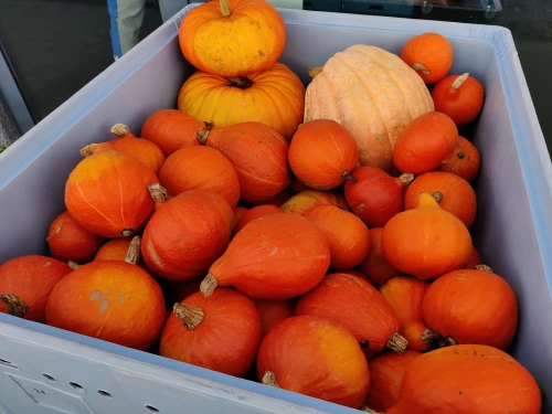 Bij Andries Groenten & Fruit
