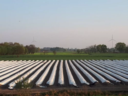 Bij Andries Groenten & Fruit