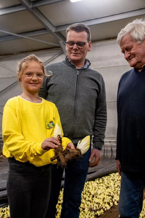 Bij Andries Groenten & Fruit